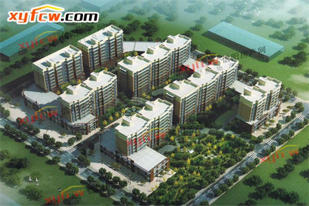 金帝花园3室2厅1卫97/8平四楼50万